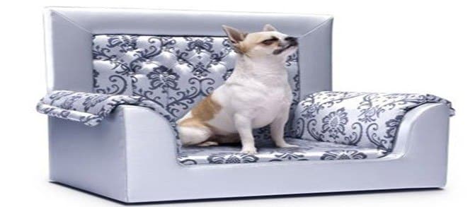 Where’s There’s A Will